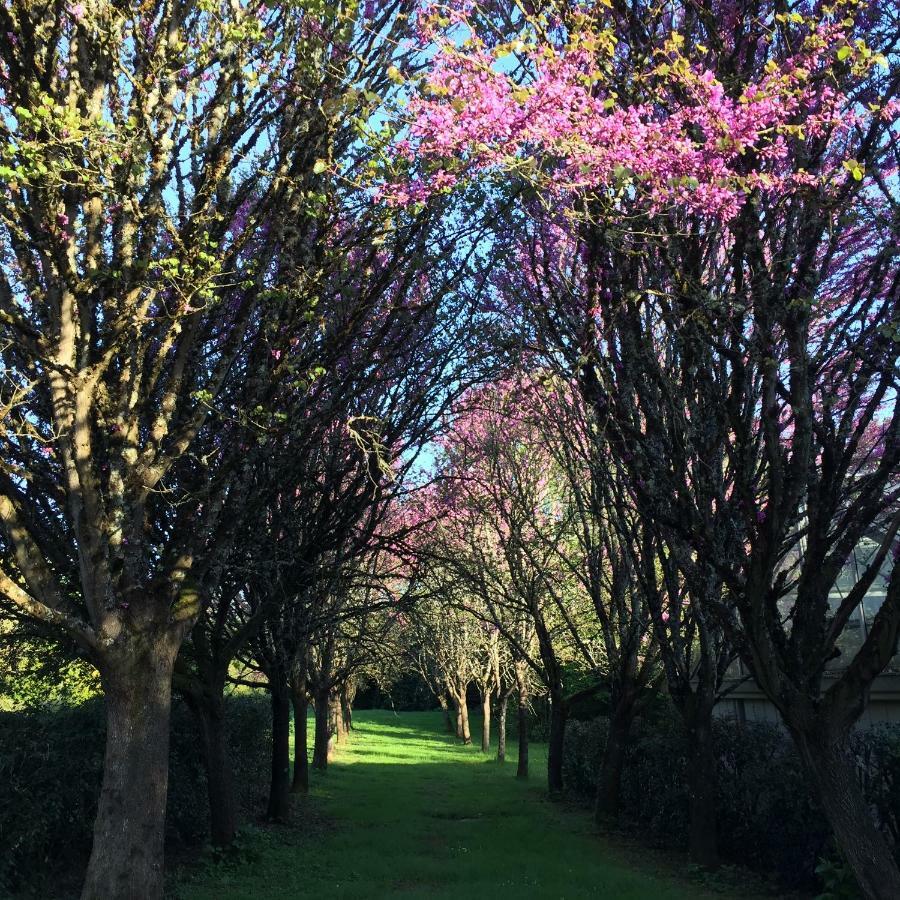 Le Belvedere Thiviers Luaran gambar
